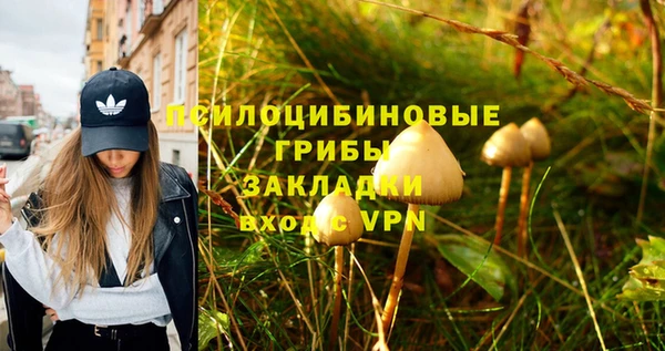 трава Касимов