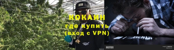 трава Касимов